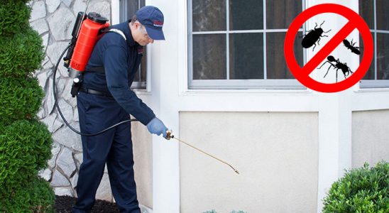 Kula Kemirgen İlaçlama böcek ilaçlama ve haşere kontrolü — ilaclama-tr.com